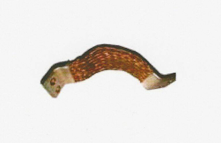 [VM0275 // XA0109 // SHUNT - VM0275 // 830E AC, 930E, 980E, 730E AC, 730E DC, 830E DC / Komatsu] VM0275: Shunt